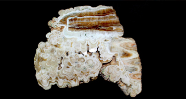 Мифы и реальности камня TPEO_1